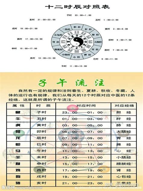 天干時間|天支地支 十二时辰对照表